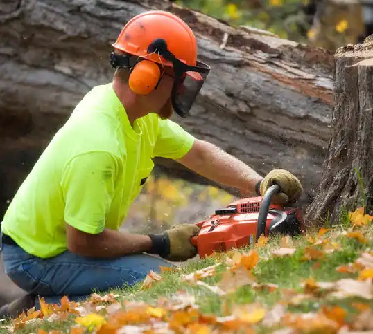 tree services Smith Valley